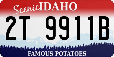 ID license plate 2T9911B