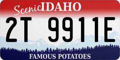 ID license plate 2T9911E