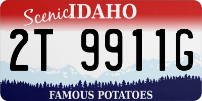 ID license plate 2T9911G