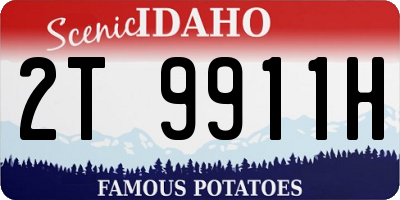 ID license plate 2T9911H