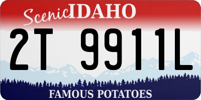 ID license plate 2T9911L