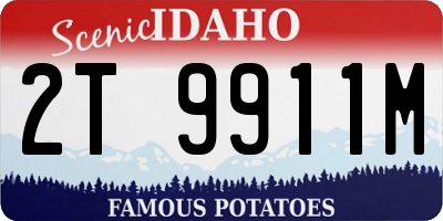 ID license plate 2T9911M