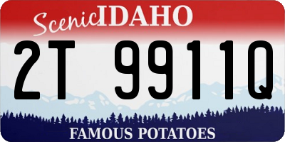 ID license plate 2T9911Q