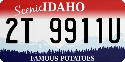 ID license plate 2T9911U