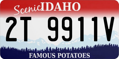 ID license plate 2T9911V