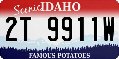 ID license plate 2T9911W