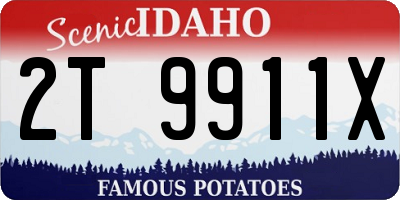 ID license plate 2T9911X