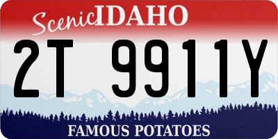 ID license plate 2T9911Y