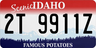 ID license plate 2T9911Z