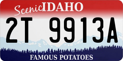 ID license plate 2T9913A