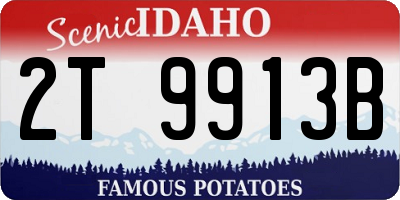 ID license plate 2T9913B