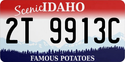 ID license plate 2T9913C