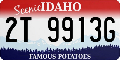 ID license plate 2T9913G