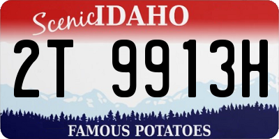 ID license plate 2T9913H