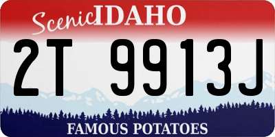 ID license plate 2T9913J