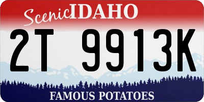 ID license plate 2T9913K