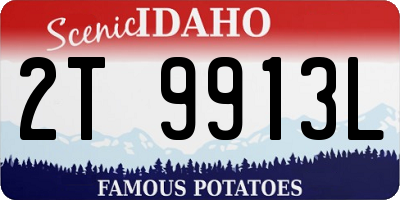 ID license plate 2T9913L