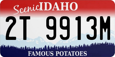 ID license plate 2T9913M