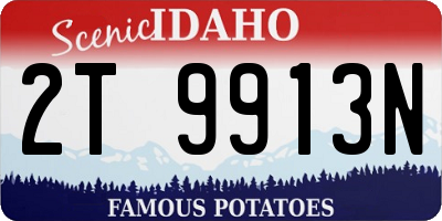 ID license plate 2T9913N