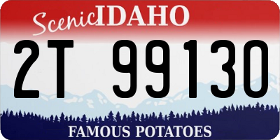 ID license plate 2T9913O