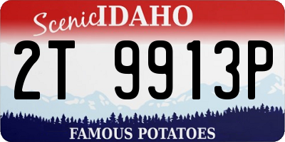 ID license plate 2T9913P