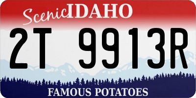 ID license plate 2T9913R