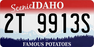 ID license plate 2T9913S