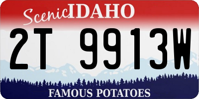 ID license plate 2T9913W