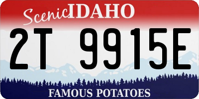 ID license plate 2T9915E