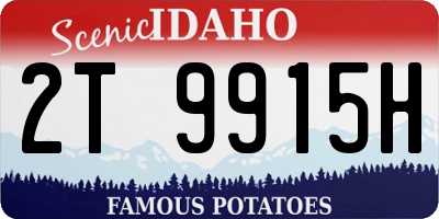 ID license plate 2T9915H