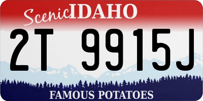 ID license plate 2T9915J