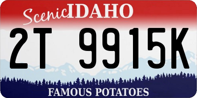 ID license plate 2T9915K