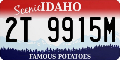 ID license plate 2T9915M