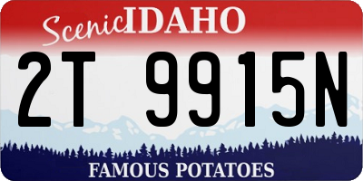 ID license plate 2T9915N