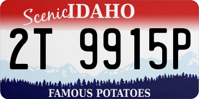 ID license plate 2T9915P