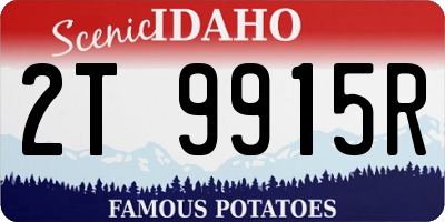 ID license plate 2T9915R