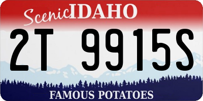 ID license plate 2T9915S