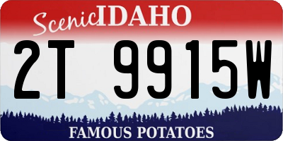 ID license plate 2T9915W