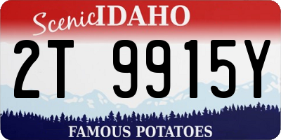 ID license plate 2T9915Y