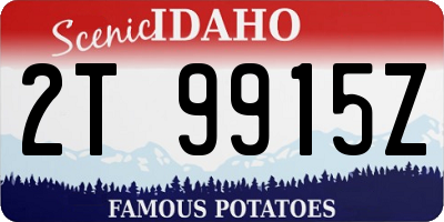 ID license plate 2T9915Z