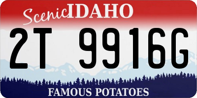 ID license plate 2T9916G