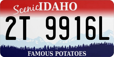 ID license plate 2T9916L