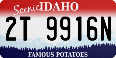 ID license plate 2T9916N