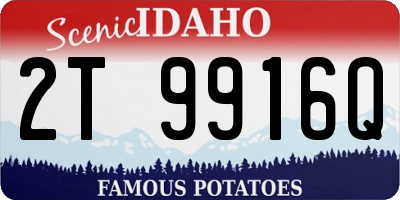 ID license plate 2T9916Q