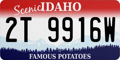 ID license plate 2T9916W