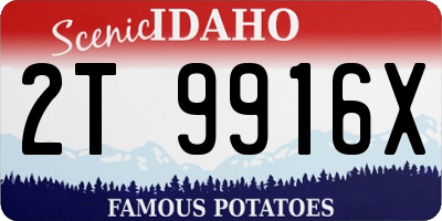 ID license plate 2T9916X