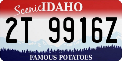 ID license plate 2T9916Z