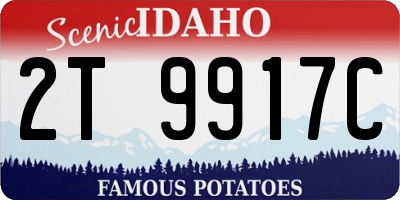 ID license plate 2T9917C