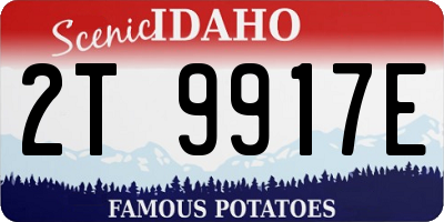 ID license plate 2T9917E