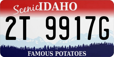 ID license plate 2T9917G